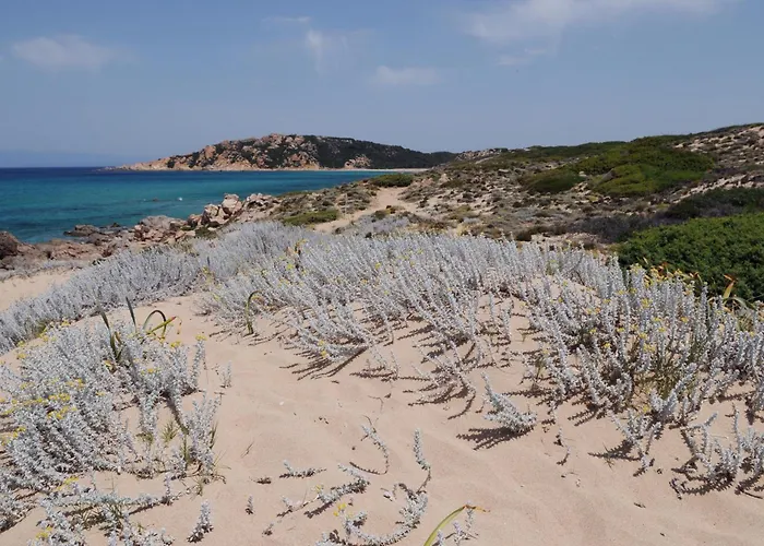 Lu Lamoni Costa Nord