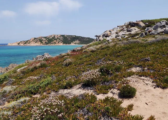 公寓式酒店 Lu Lamoni Costa Nord